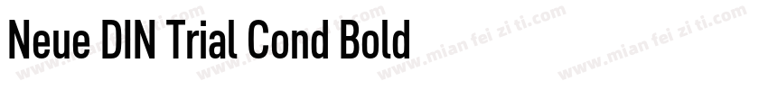 Neue DIN Trial Cond Bold字体转换